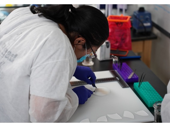 Jessica Begay in Lab 