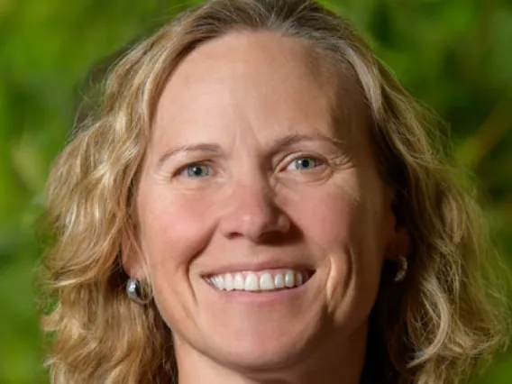 Alison M Meadow